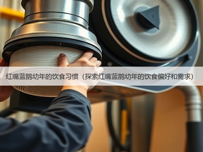 红嘴蓝鹊幼年的饮食习惯（探索红嘴蓝鹊幼年的饮食偏好和需求）