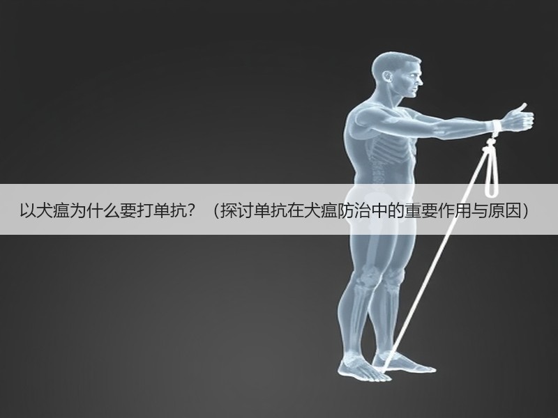 以犬瘟为什么要打单抗？（探讨单抗在犬瘟防治中的重要作用与原因）
