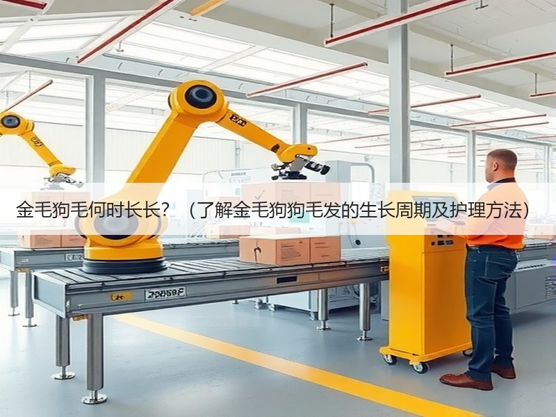 金毛狗毛何时长长？（了解金毛狗狗毛发的生长周期及护理方法）