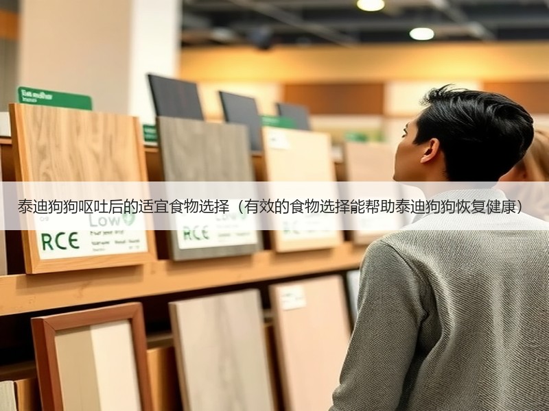 泰迪狗狗呕吐后的适宜食物选择（有效的食物选择能帮助泰迪狗狗恢复健康）