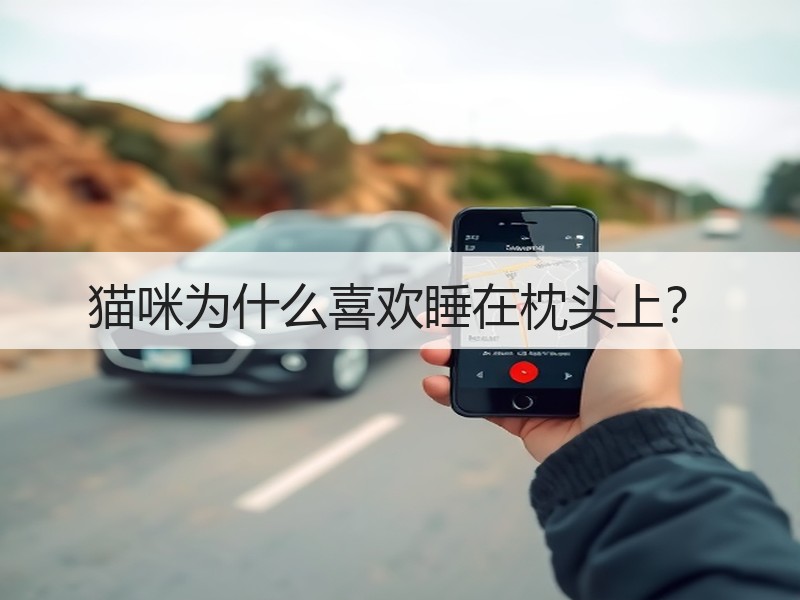 猫咪为什么喜欢睡在枕头上？