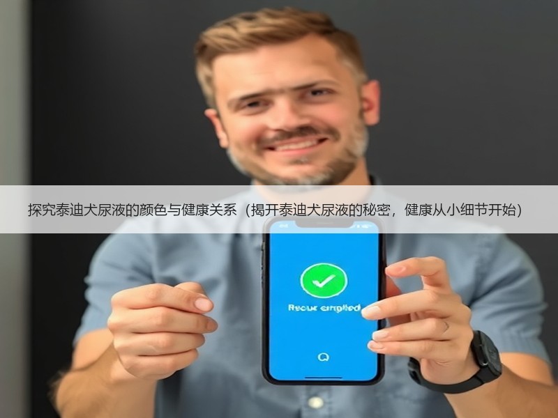 探究泰迪犬尿液的颜色与健康关系（揭开泰迪犬尿液的秘密，健康从小细节开始）