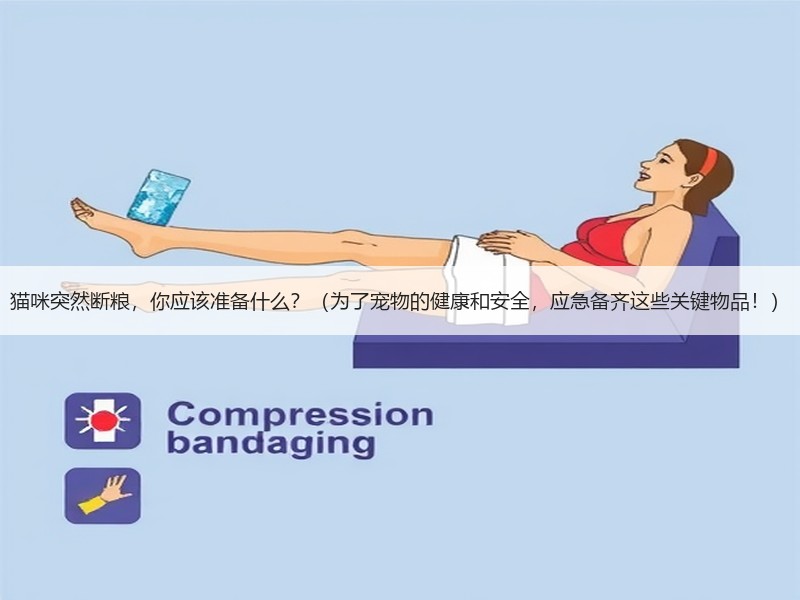 猫咪突然断粮，你应该准备什么？（为了宠物的健康和安全，应急备齐这些关键物品！）