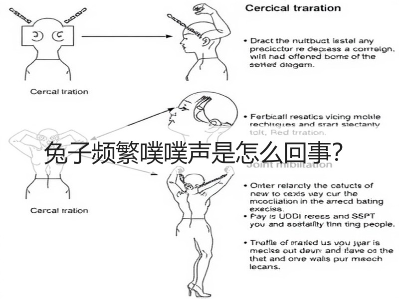 兔子频繁噗噗声是怎么回事？