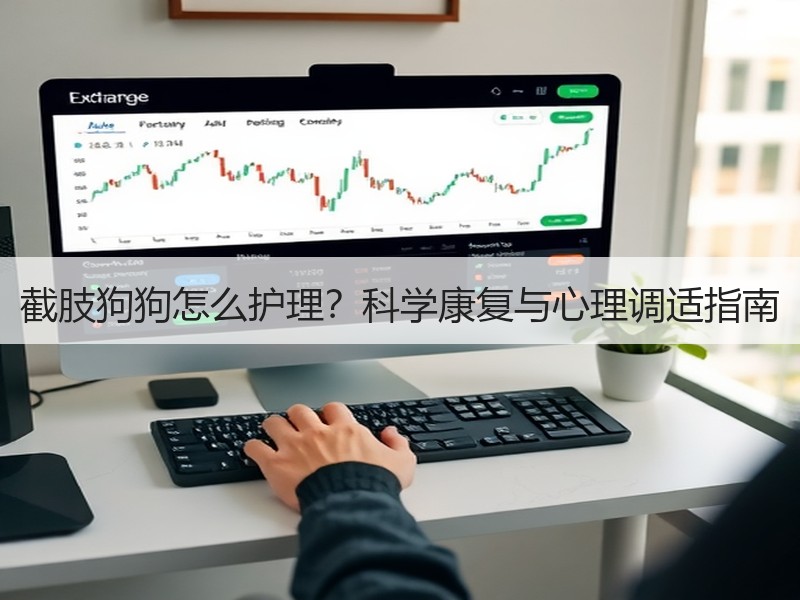 截肢狗狗怎么护理？科学康复与心理调适指南