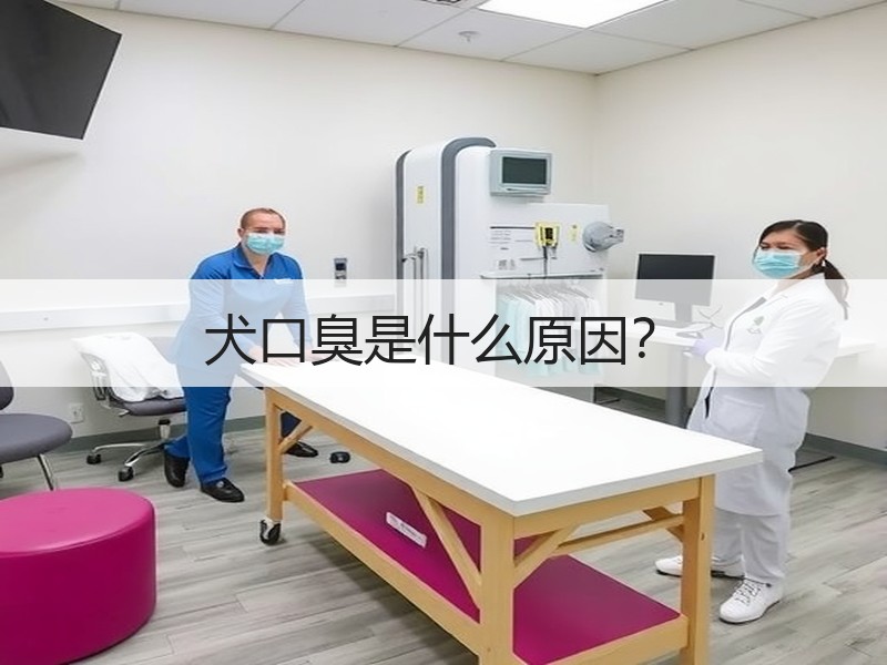 犬口臭是什么原因？
