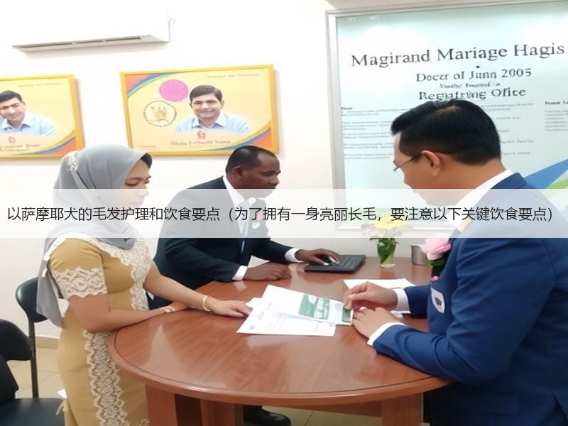 以萨摩耶犬的毛发护理和饮食要点（为了拥有一身亮丽长毛，要注意以下关键饮食要点）