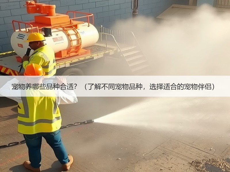 宠物养哪些品种合适？（了解不同宠物品种，选择适合的宠物伴侣）