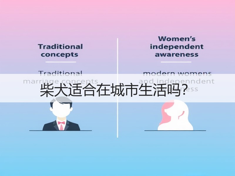 柴犬适合在城市生活吗？