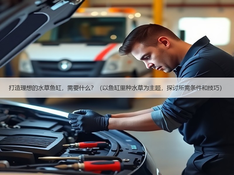 打造理想的水草鱼缸，需要什么？（以鱼缸里种水草为主题，探讨所需条件和技巧）