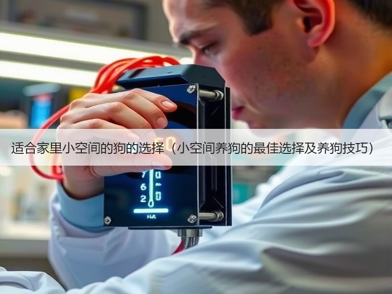 适合家里小空间的狗的选择（小空间养狗的最佳选择及养狗技巧）
