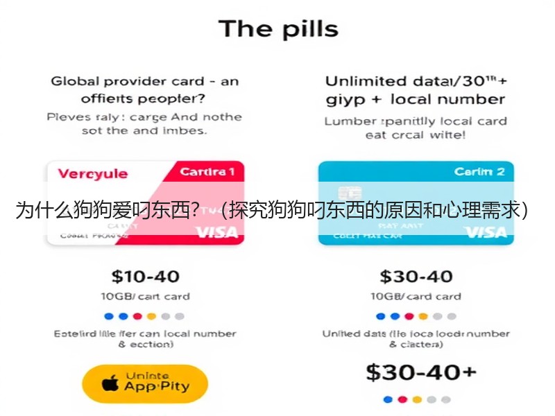 为什么狗狗爱叼东西？（探究狗狗叼东西的原因和心理需求）