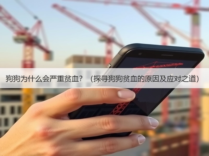 狗狗为什么会严重贫血？（探寻狗狗贫血的原因及应对之道）