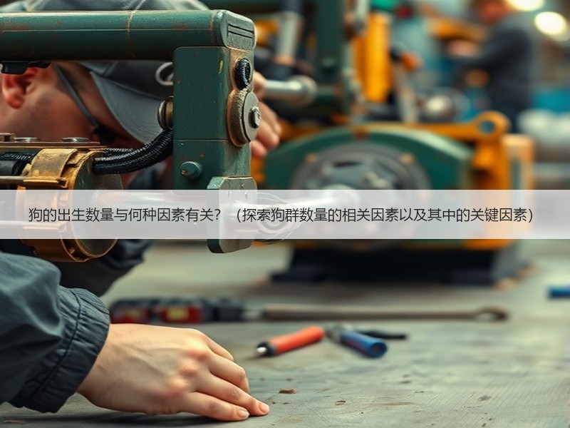 狗的出生数量与何种因素有关？（探索狗群数量的相关因素以及其中的关键因素）