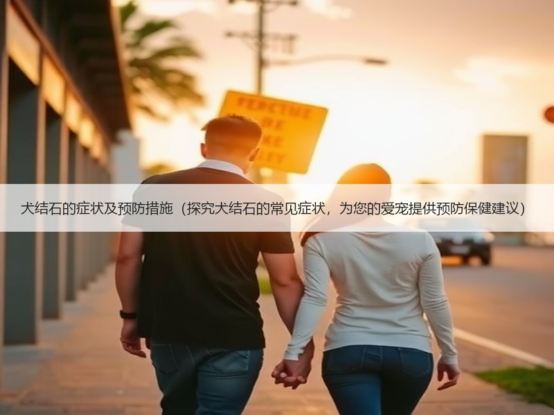 犬结石的症状及预防措施（探究犬结石的常见症状，为您的爱宠提供预防保健建议）