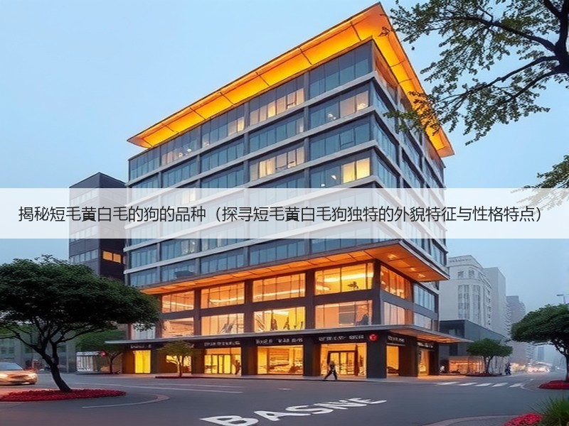 揭秘短毛黄白毛的狗的品种（探寻短毛黄白毛狗独特的外貌特征与性格特点）