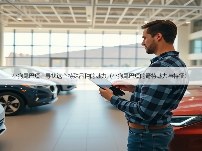 小狗尾巴短，寻找这个特殊品种的魅力（小狗尾巴短的奇特魅力与特征）