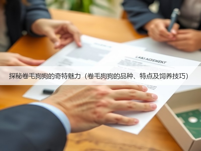 探秘卷毛狗狗的奇特魅力（卷毛狗狗的品种、特点及饲养技巧）