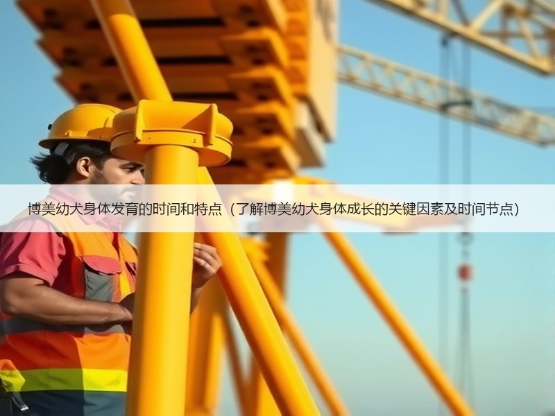博美幼犬身体发育的时间和特点（了解博美幼犬身体成长的关键因素及时间节点）