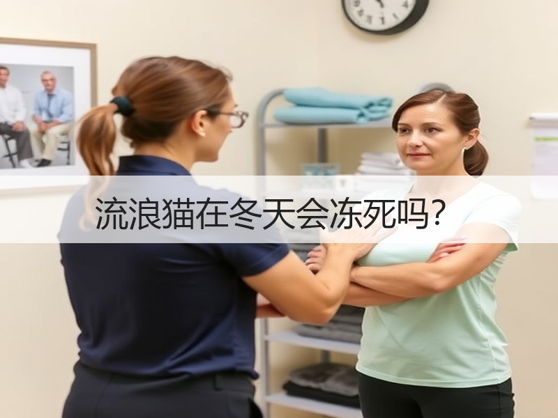 流浪猫在冬天会冻死吗？