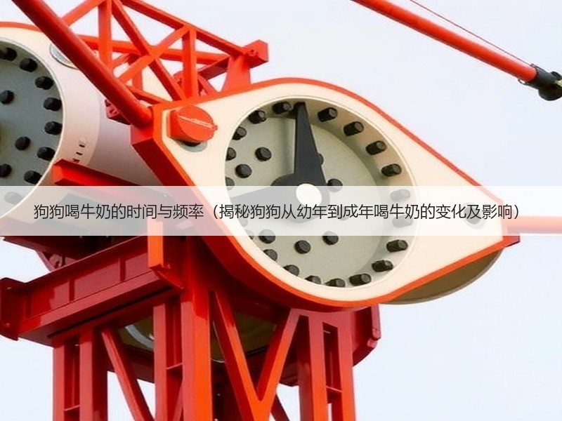 狗狗喝牛奶的时间与频率（揭秘狗狗从幼年到成年喝牛奶的变化及影响）