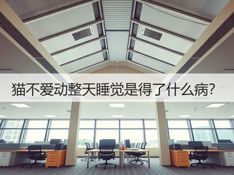 猫不爱动整天睡觉是得了什么病？