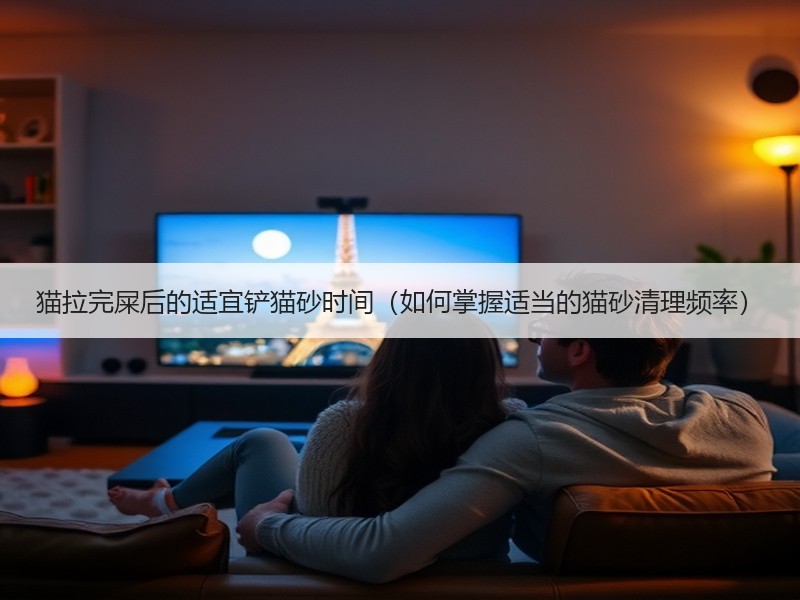 猫拉完屎后的适宜铲猫砂时间（如何掌握适当的猫砂清理频率）
