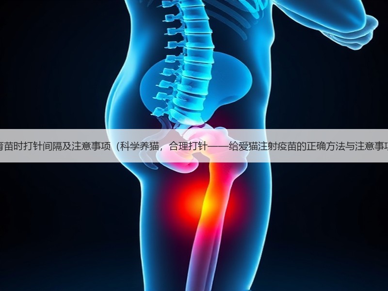 猫育苗时打针间隔及注意事项（科学养猫，合理打针——给爱猫注射疫苗的正确方法与注意事项）