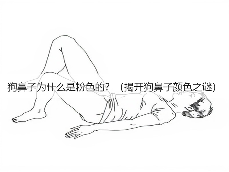 狗鼻子为什么是粉色的？（揭开狗鼻子颜色之谜）