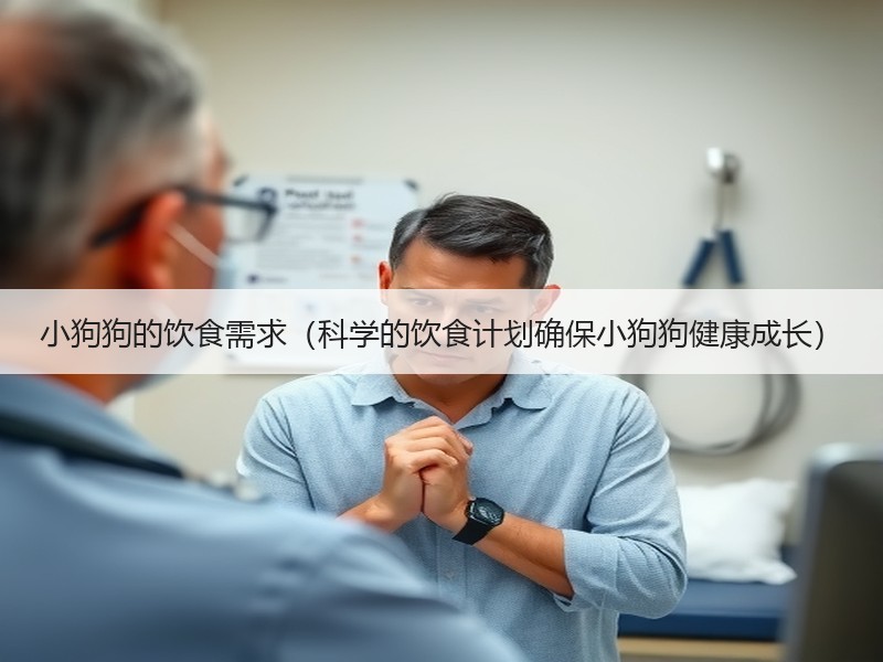小狗狗的饮食需求（科学的饮食计划确保小狗狗健康成长）