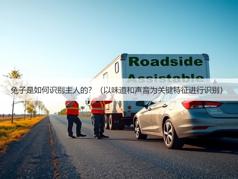 兔子是如何识别主人的？（以味道和声音为关键特征进行识别）