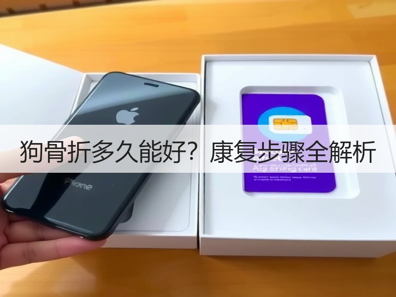 狗骨折多久能好？康复步骤全解析