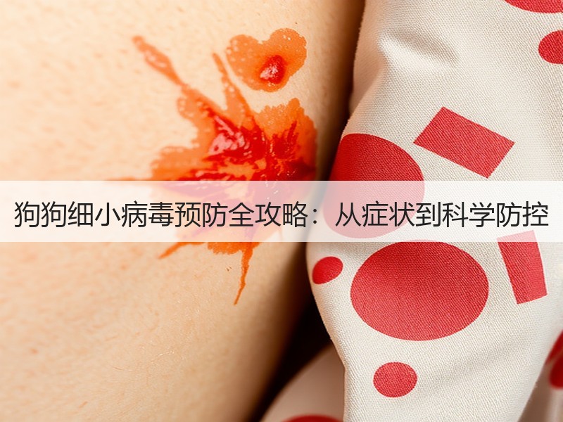 狗狗细小病毒预防全攻略：从症状到科学防控