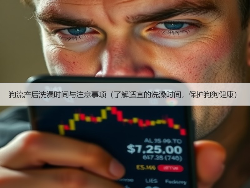 狗流产后洗澡时间与注意事项（了解适宜的洗澡时间，保护狗狗健康）