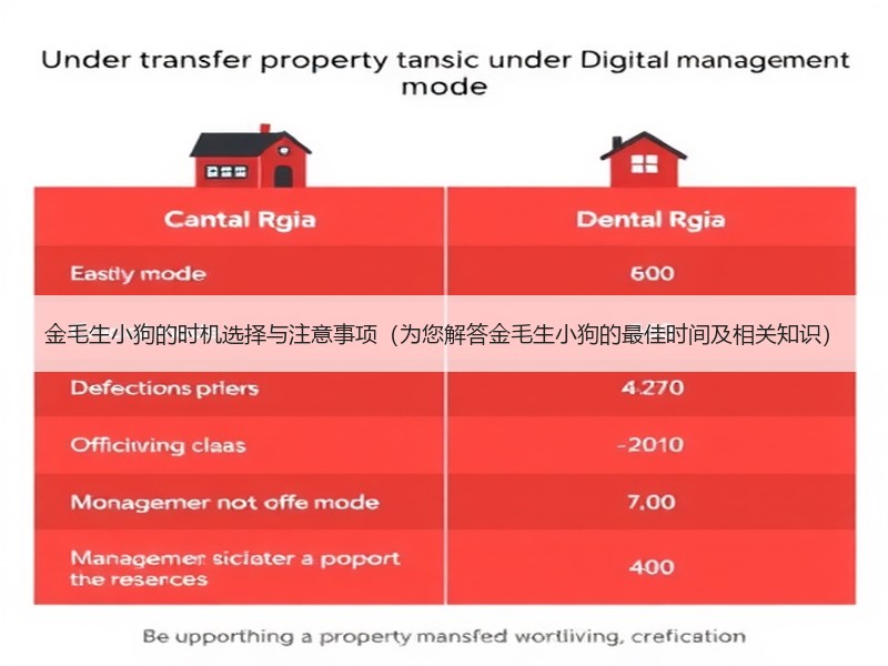 金毛生小狗的时机选择与注意事项（为您解答金毛生小狗的最佳时间及相关知识）