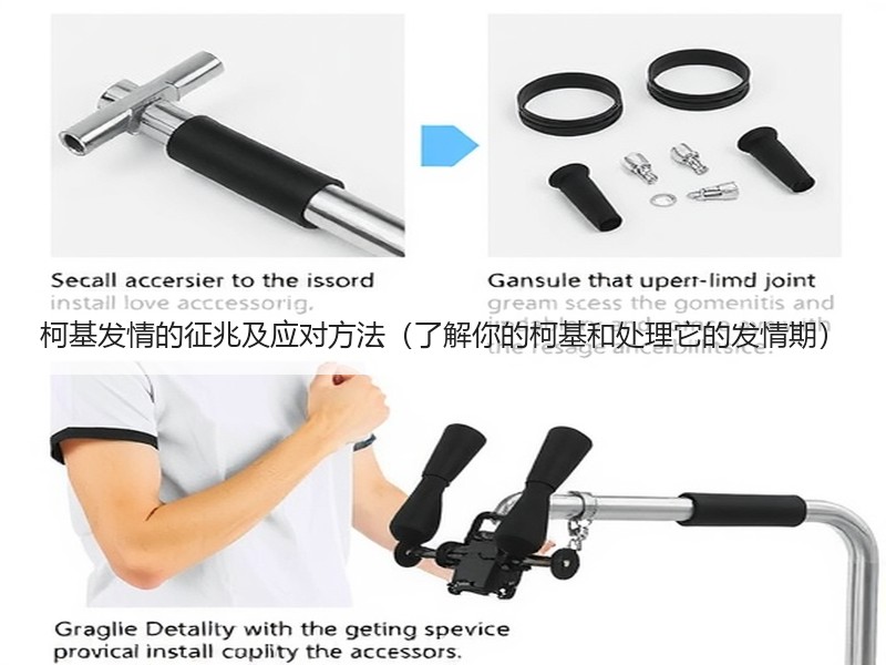 柯基发情的征兆及应对方法（了解你的柯基和处理它的发情期）