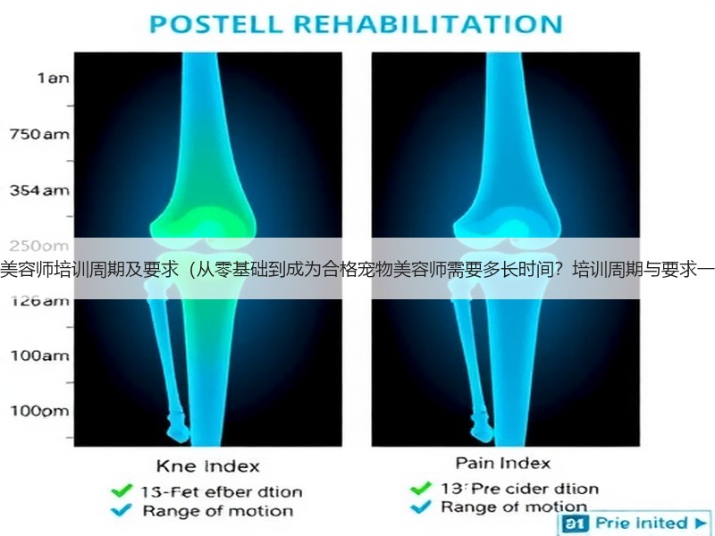 宠物美容师培训周期及要求（从零基础到成为合格宠物美容师需要多长时间？培训周期与要求一览）