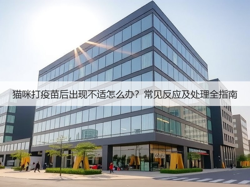 猫咪打疫苗后出现不适怎么办？常见反应及处理全指南