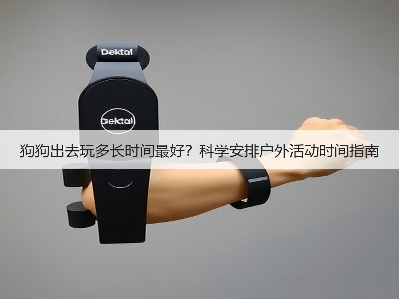 狗狗出去玩多长时间最好？科学安排户外活动时间指南