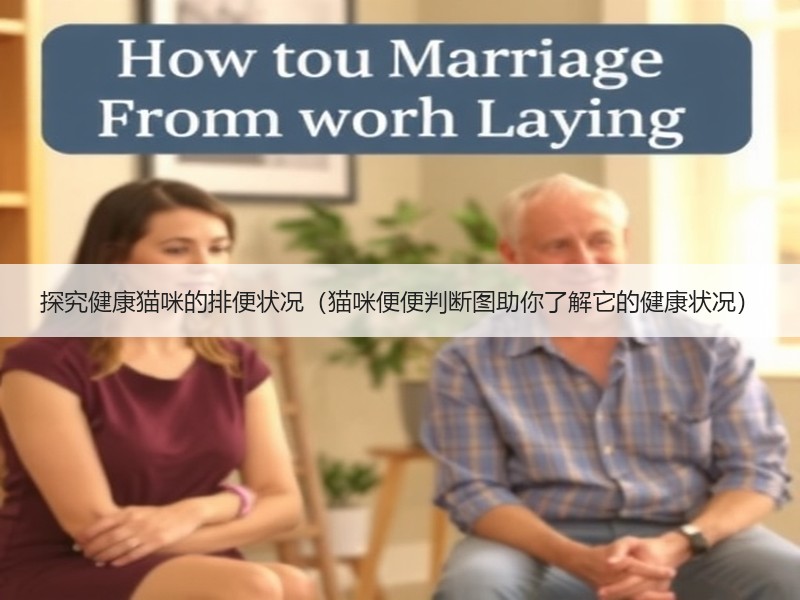 探究健康猫咪的排便状况（猫咪便便判断图助你了解它的健康状况）
