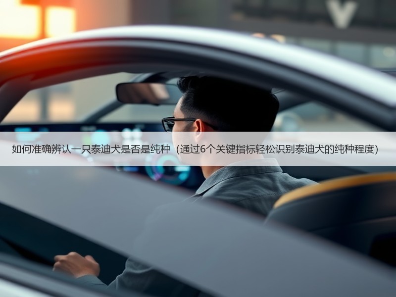 如何准确辨认一只泰迪犬是否是纯种（通过6个关键指标轻松识别泰迪犬的纯种程度）
