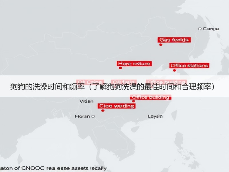 狗狗的洗澡时间和频率（了解狗狗洗澡的最佳时间和合理频率）