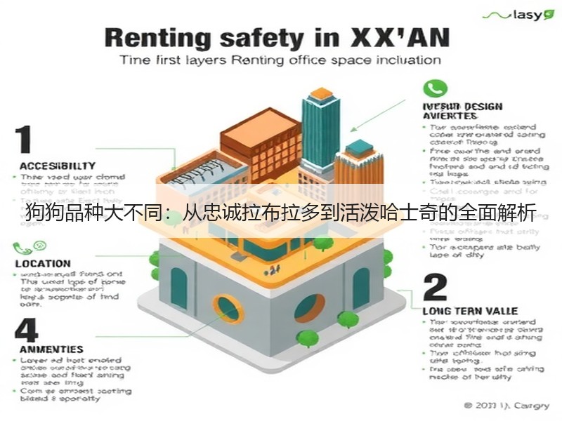 狗狗品种大不同：从忠诚拉布拉多到活泼哈士奇的全面解析