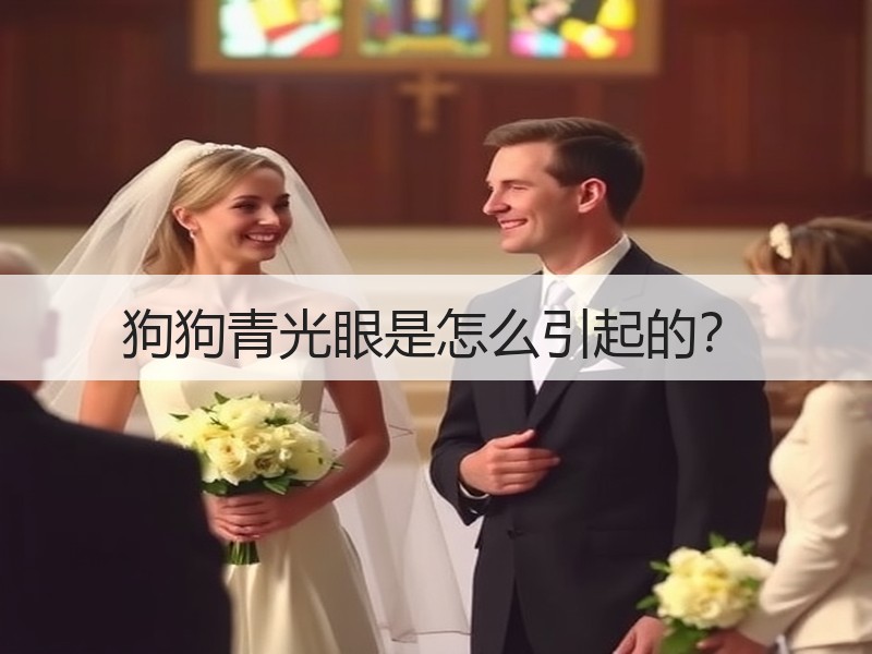 狗狗青光眼是怎么引起的？