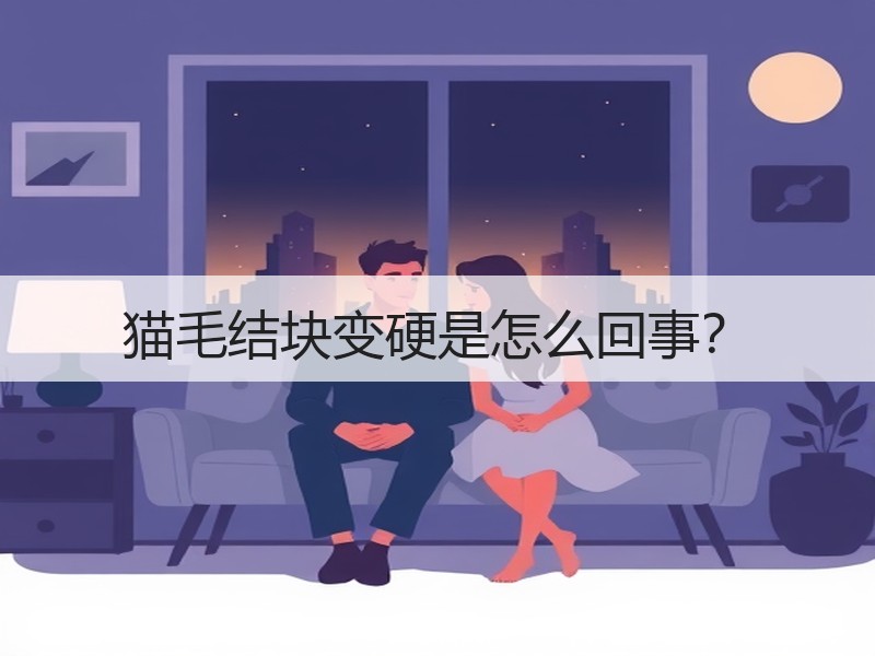 猫毛结块变硬是怎么回事？