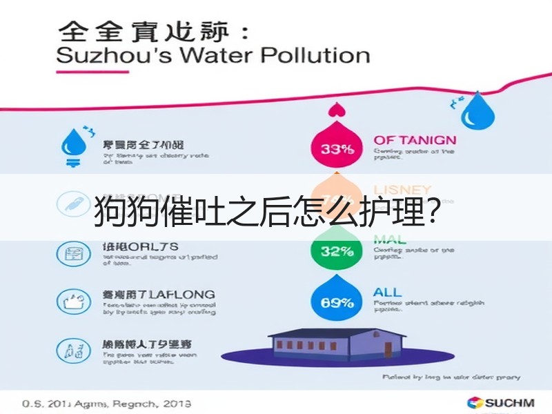 狗狗催吐之后怎么护理？