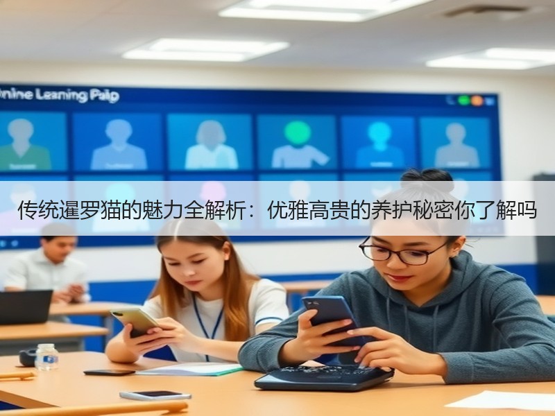 传统暹罗猫的魅力全解析：优雅高贵的养护秘密你了解吗
