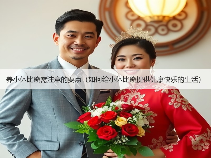 养小体比熊需注意的要点（如何给小体比熊提供健康快乐的生活）