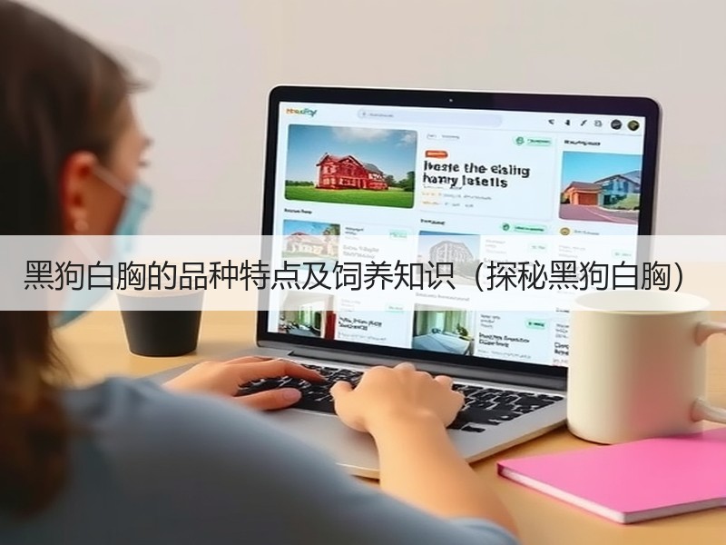 黑狗白胸的品种特点及饲养知识（探秘黑狗白胸）