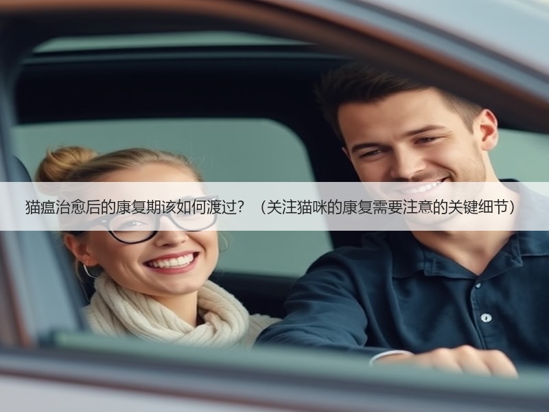 猫瘟治愈后的康复期该如何渡过？（关注猫咪的康复需要注意的关键细节）